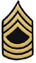 Army rank insignia for pay grade E-8