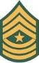 Army rank insignia for pay grade E-9